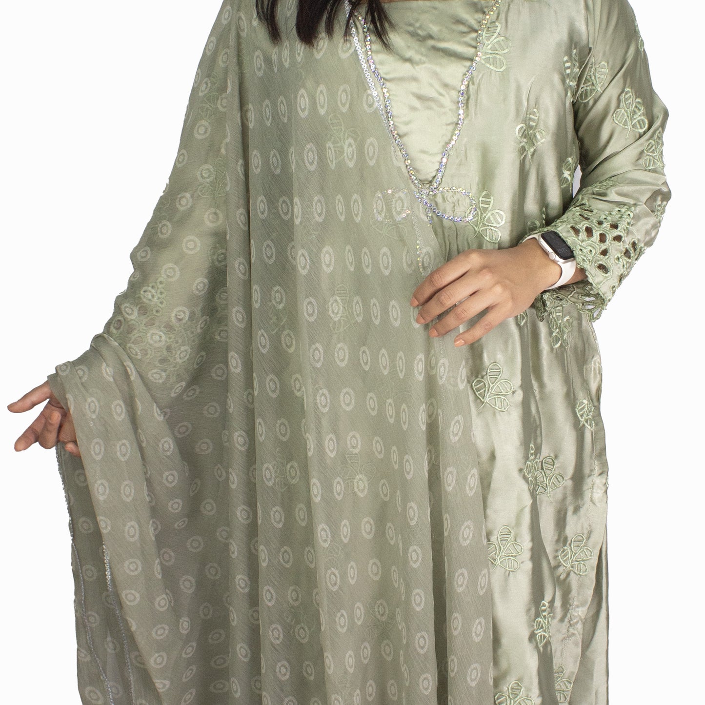 Sage Green Embroidered Pakistani Suit