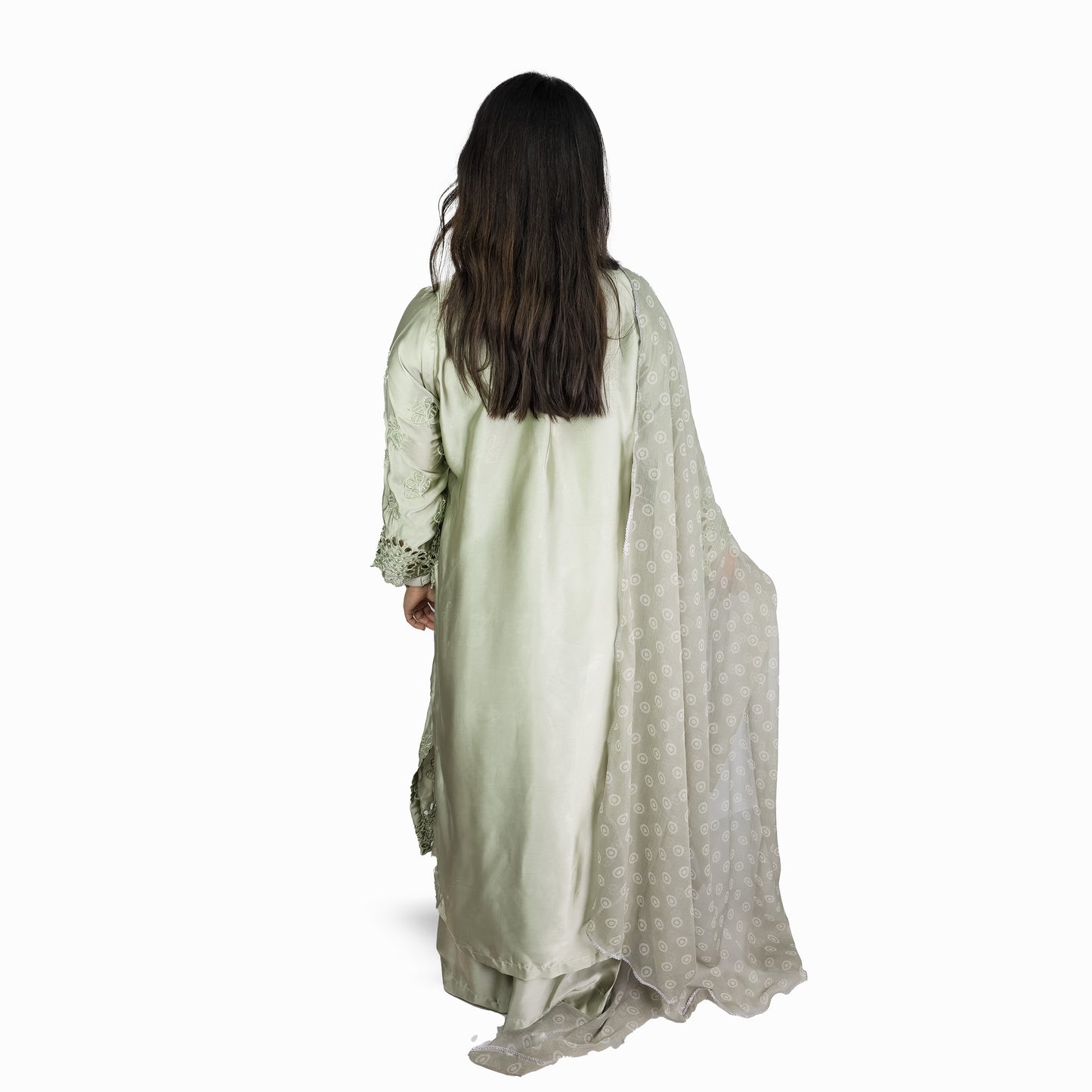 Sage Green Embroidered Pakistani Suit